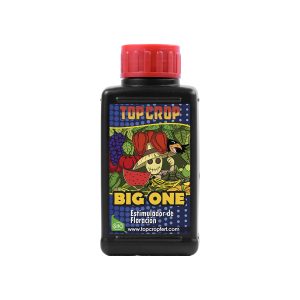 Big One 100ml