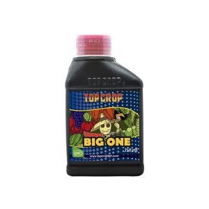 Big One 250ml