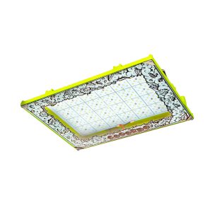 Proyector P800 Linea Cogordo V2 150w
